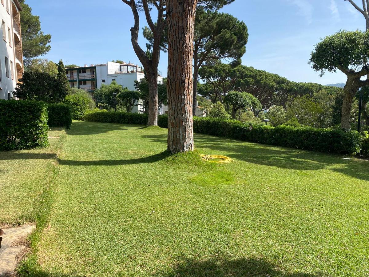 Apartamento Con Espectaculares Vistas Al Mediterraneo 卡莱利亚德帕拉弗鲁赫尔 外观 照片